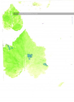 ACQ, 12·10·12